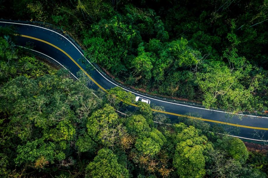 O que é Pegada de Carbono